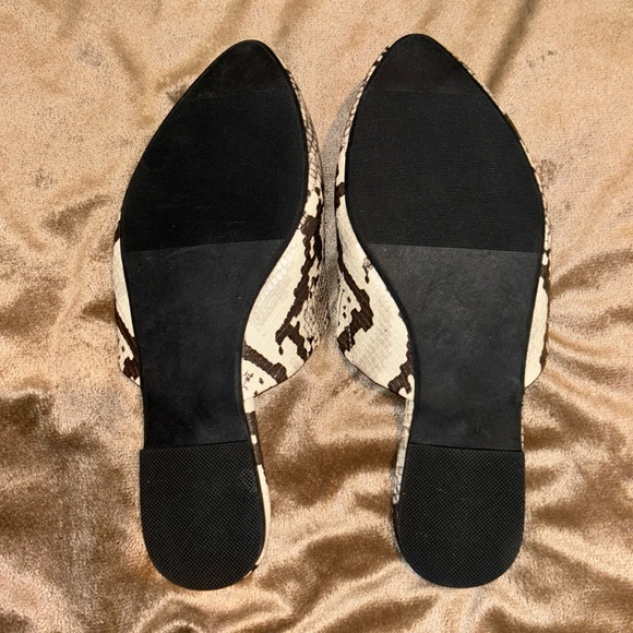 Torrid Mule - Picture 4 of 5